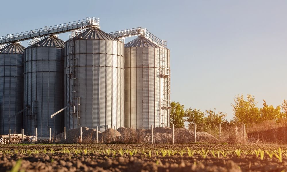 Silos de almacenamiento de granos junto a un campo sembrado